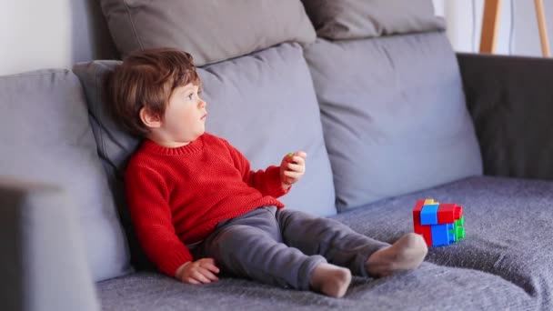Divertido niño sentado en el sofá en suéter rojo — Vídeos de Stock