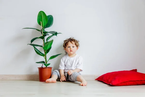 Ребенок с зеленым растением, сидящий на полу возле белой стены — стоковое фото