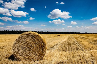 Sarı buğday saman alanında yaz saati.