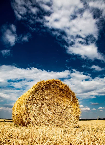 Na záchodě slámy na poli v letním období. — Stock fotografie