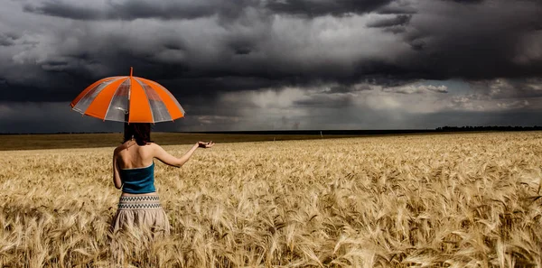 Молодая женщина с зонтиком на пшеничном поле во время шторма — стоковое фото