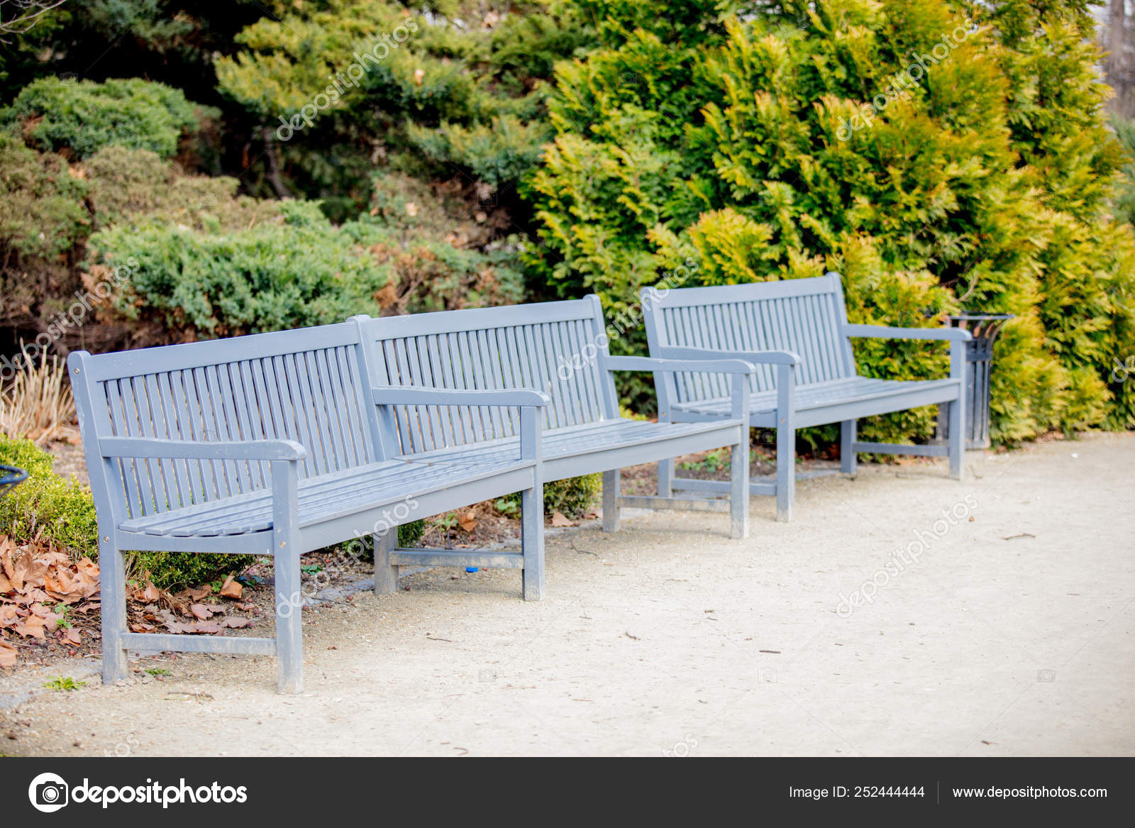 Gray Benches French Style Greenpark Spring Time Season Stock