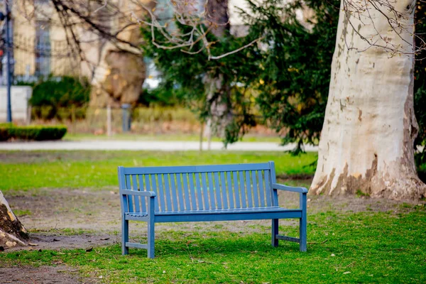 Grijze Bank Franse Stijl Een Greenpark Tijd Van Lente Seizoen — Stockfoto