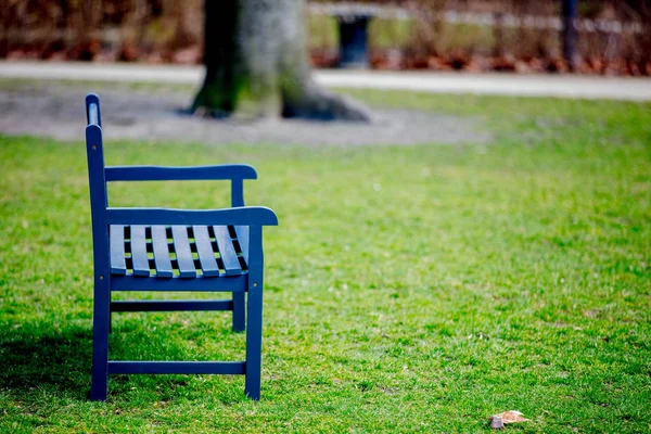 Grijze Bank Franse Stijl Een Greenpark Tijd Van Lente Seizoen — Stockfoto