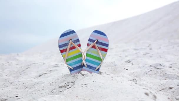 Flip Flops Shoes Color Stripes White Sand — Stock Video