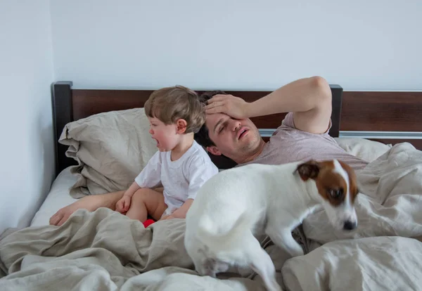 泣いている子供はベッドで父と犬を目覚めさせた. — ストック写真