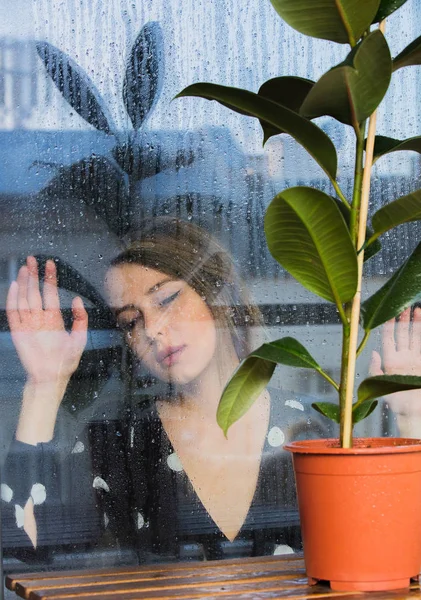 Молодая грустная женщина возле мокрого окна после дождя пропускает фикус — стоковое фото