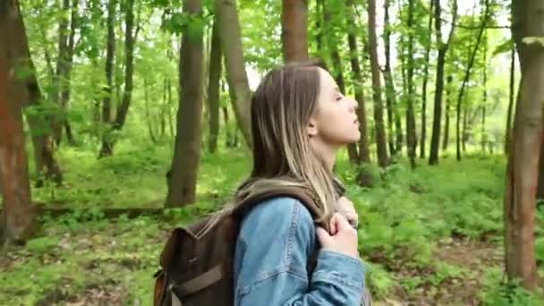 若いです女性バックパックで混合森の中 Beskidy Poland Spring Time — ストック動画