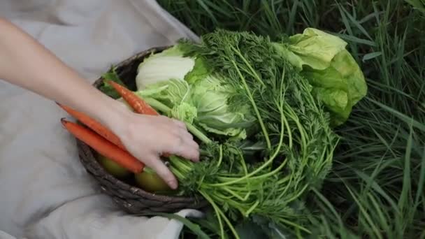 Морковь Яблоко Капуста Лежат Корзине Траве Весеннее Время — стоковое видео