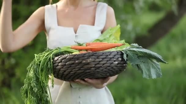 Ung Kaukasisk Kvinna Hatt Innehav Korg Grönsaker Med Träd Bakgrunden — Stockvideo