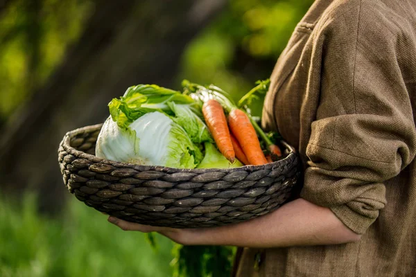 Jovem com maçã e cesta de legumes — Fotografia de Stock