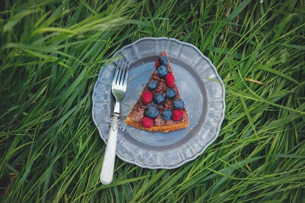 Czekolada pokryte borówki i malina tarta na trawie — Zdjęcie stockowe