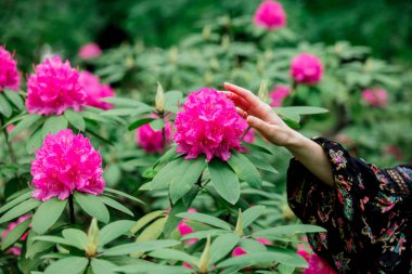 s bir grarden içinde rhododendron çiçekleri yakınında el tutan kadın