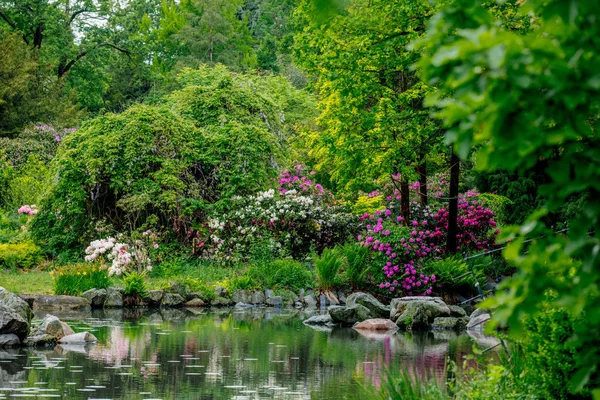 Parque público con arbustos de flores y río en primavera —  Fotos de Stock