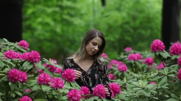 Mulher Estilo Perto Flores Rododendro Jardim Tempo Primavera — Vídeo de Stock