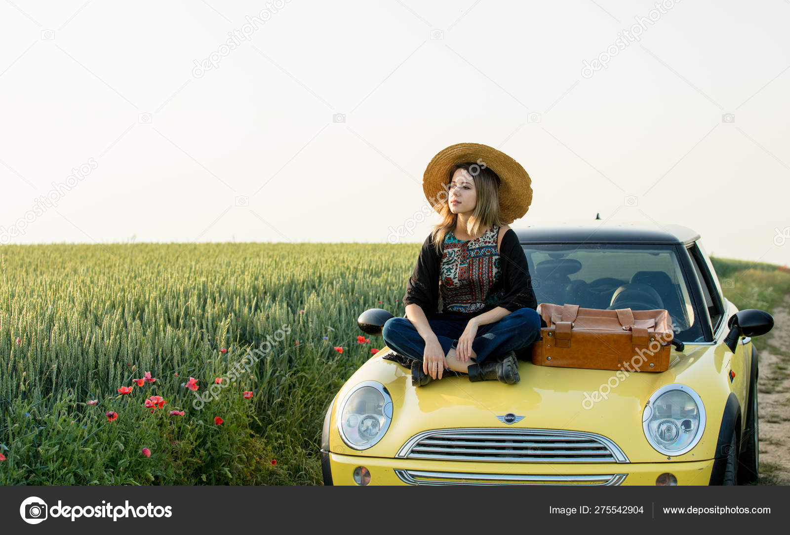 mini car suitcase