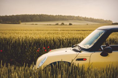 Wroclaw, Polonya - 11 Haziran 2019 - Sarı Mini Cooper R50