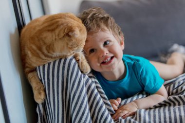 Küçük yürümeye başlayan çocuk İskoç kat kedi ile oynamak