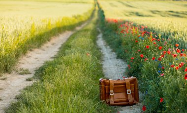 kırsal bir yol kenarında klasik bavul