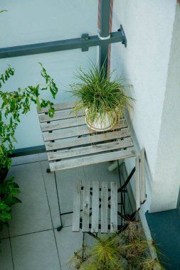 Çatı katının balkonunda bitkiler, masa ve sandalye