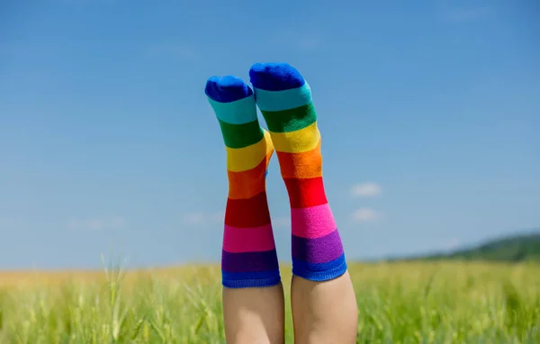Pernas em meias LGBT levantadas em um campo de trigo — Fotografia de Stock