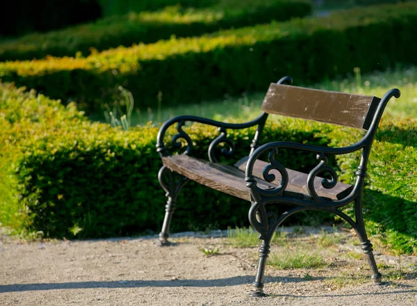 Banco clássico em um jardim da cidade , — Fotografia de Stock