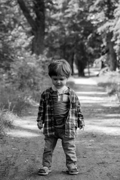 Niño pequeño está parado en un sendero en el bosque —  Fotos de Stock