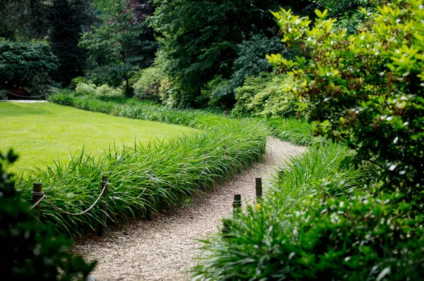 Weg im Park durch Büsche und Wiesen — Stockfoto