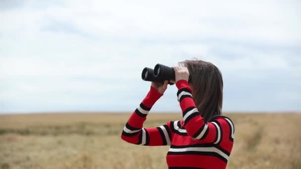 小麦畑に双眼鏡を持つ赤いセーターを着た若い女性 — ストック動画