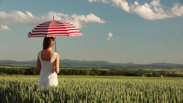 Jong Meisje Met Paraplu Een Groene Tarwe Veld — Stockvideo