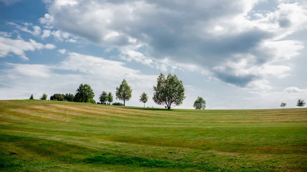 Terrain de golf avec arbres et pelouse en tchèque — Photo