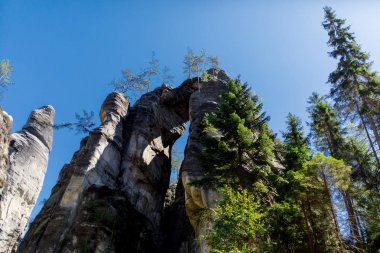 Çek Cumhuriyeti çam ormanında kayalar