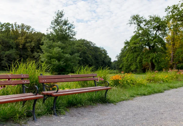 Panchina in legno in un parco, Polonia — Foto Stock