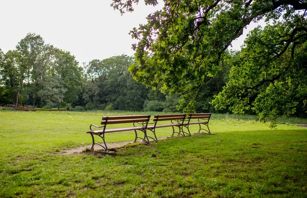 Houten bankje in een park, Polen — Stockfoto