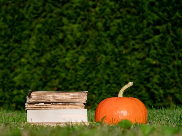 Pompoen en boeken op een grasveld in oktober — Stockfoto