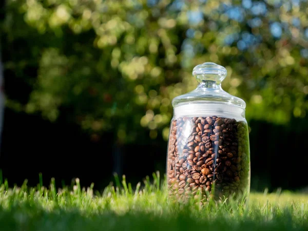 Coffee beans in glass jar on green grass — Stock Photo, Image