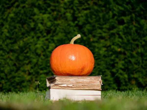 Κολοκύθα και βιβλία για ένα χορτάρι στην αυλή τον Οκτώβριο — Φωτογραφία Αρχείου