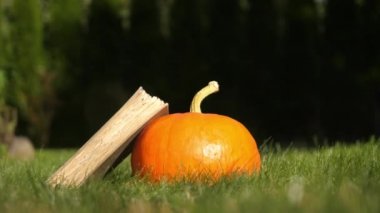 Balkabağı ve kitaplar ekim ayında bahçedeki çimlerde.