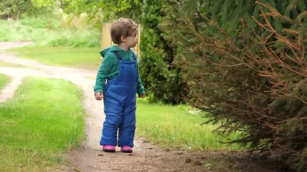 Malý Chlapec Montérky Hrát Zahradě — Stock video