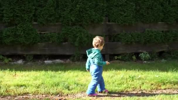 Pequeño Niño Overoles Jugar Jardín — Vídeo de stock