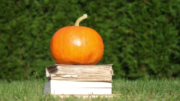 Pumpkin Books Grass Yard October — Stock Video