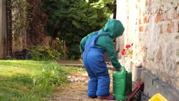 小男孩的工作服在花园里玩耍 — 图库视频影像