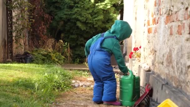 Kleine Jungen Overalls Spielen Garten — Stockvideo