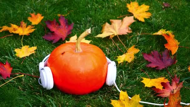 Pumpkin Headphones Maple Leaves Green Grass — Stock Video
