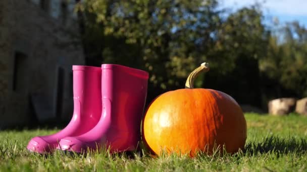 Dýně a gumové boty na trávě na dvoře v říjnu