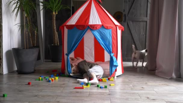 Λυπημένο Αγοράκι Ένα Μικρό Σπίτι Για Παιδιά Στο Σπίτι — Αρχείο Βίντεο