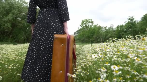 Meisje Met Koffer Kamille Bloemen Weide Zomer — Stockvideo