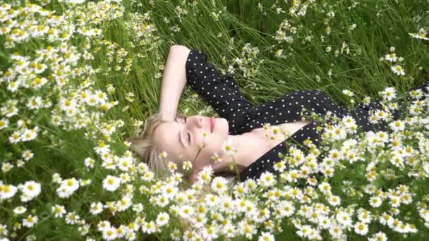 Над Видом Блондинку Черном Платье Лежащую Сельской Ромашки Цветы — стоковое видео