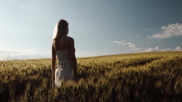 Відео Блондинки Валізою Пшеничному Полі Літній Час — стокове відео