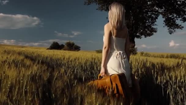 Film Blondynki Walizką Polu Pszenicy Lecie — Wideo stockowe